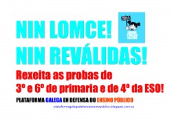 A Plataforma Galega en Defensa do Ensino Público realizará un acto simbólico contra as reválidas